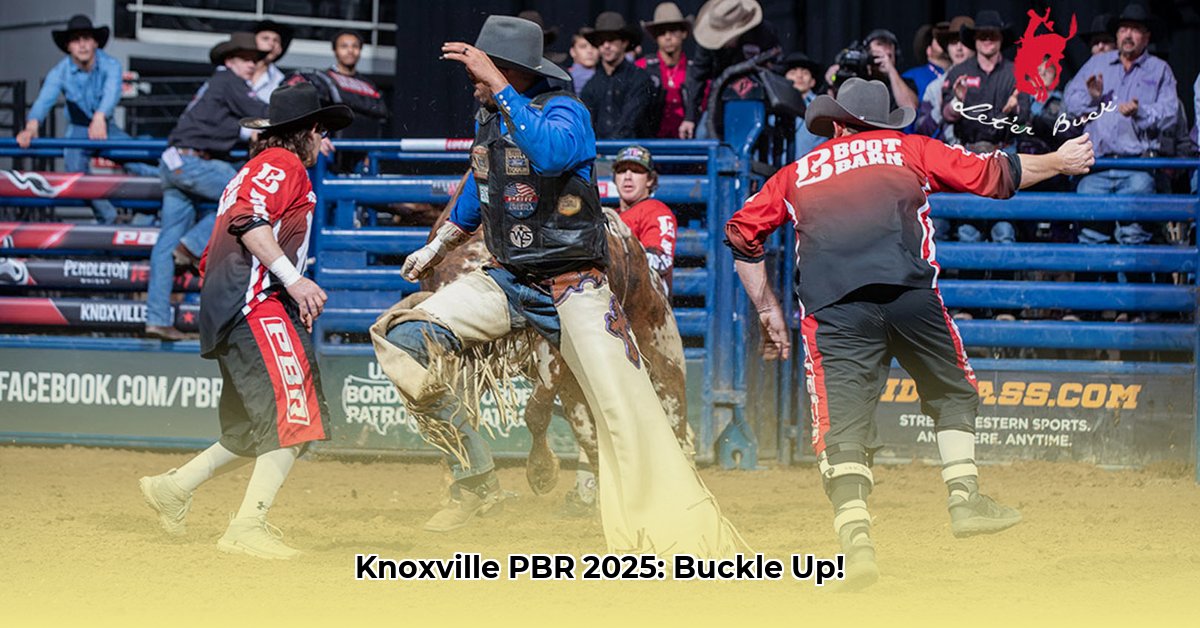 pbr-knoxville-tn